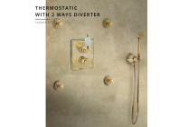 Thermostatic With 2