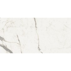 Supreme Evo Statuario Superior Natural 60*120 Supreme Evo Statuario Superior Natural 60*120
