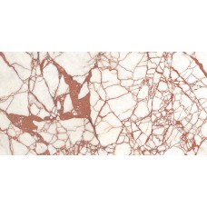Calacatta Dante Natural 60*120