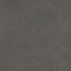 Boost Natural Coal Matte 1200x1200 A65P
