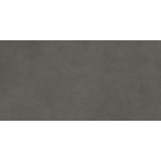 Boost Natural Coal Matte 300x600 A66L