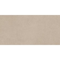 Boost Natural Ash Matte 300x600 A66I