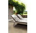 Sensi By Thun Taupe Fossil R+Ptv/Ret 800x800 768375 Florim
