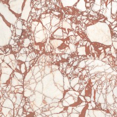 Calacatta Dante Natural 120*120