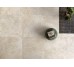 Noblesse Champagne Quartz Lev Ret 1200x1200 LG8NB31 Lea Ceramiche