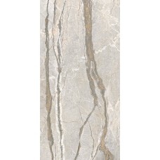 Silver Roots Natural 60*120 Silver Roots Natural 60*120