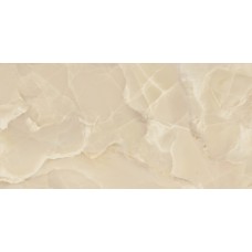 Onyx Sable Polished 120*260
