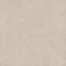 Boost Natural Pro Cinder Outdoor 1200x1200 ARB4 Boost Natural Pro Cinder Outdoor 1200x1200 ARB4