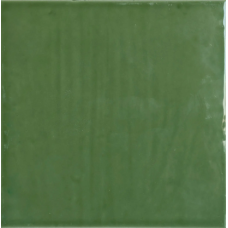Flow Moss Glossy 125x250x9 1212SEFLMSGL Flow Moss Glossy 125x250x9 1212SEFLMSGL Self: італійський кабанчик і кольорова кераміка з Фіорано