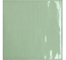 Flow Pistachio Glossy 125x250x9 1212SEFLPIGL Self