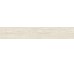 Birch Line White SL 200x1200 Azuvi
