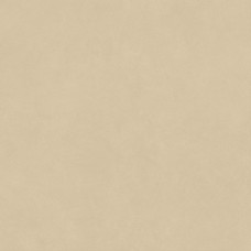 Boost Natural Pro Sand Matte 1200x1200 AQ8W Boost Natural Pro Sand Matte 1200x1200 AQ8W