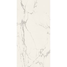 Archimarble 2 Statuario Altissimo Honed Rett 596x1192 0200059 Archimarble 2 Statuario Altissimo Honed Rett 596x1192 0200059