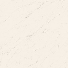 Archimarble 2 Carrara Gioia Honed Rett 1192x1192 0200051