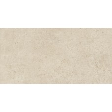 Boost Vision Camel 300x600 HCJ6