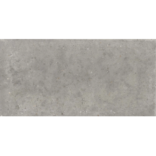Poetry Stone Pirenei Grey R11 Ret 600x1200 60010530