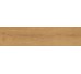 Exence Almond Outdoor 300x1200 A2RY Atlas Concorde