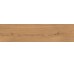 Log Amber Oak Forest Outdoor 300x1200 AX4C Atlas Concorde