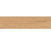 Entice Pale Oak Natural Outdoor 300x1200 A9DD Atlas Concorde