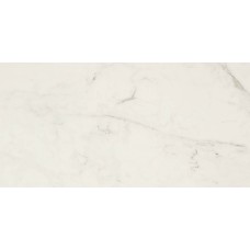 Allmarble Altissimo Rt 300x600 MMUA