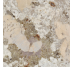 Sensi Nuance Patagonia Wow Lux 3D Ret 1200x1200 PF60014962 ABK