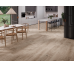 Dec.Forest Walnut Rec 750x750 Fanal