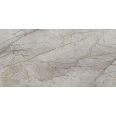 Essence Grey Rec Nplus 600х1200 Essence Grey Rec Nplus 600х1200