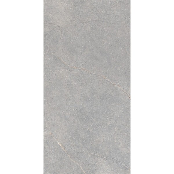 Anthology 04 Gray Rough Ret 600x1200 LGXAL48 Lea Ceramiche