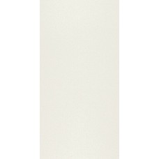 Slimtech+ Absolute Extra White Smooth Ret 500x1000 LSBAB28