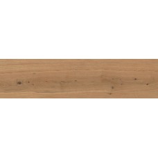 Log Deep Oak Forest Outdoor 300x1200 AX4D