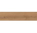 Log Deep Oak Forest Outdoor 300x1200 AX4D Atlas Concorde
