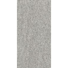Biotech Serizzo Stone Nat/Ret 600x1200 778797