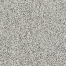 Biotech Serizzo Stone Nat/Ret 600x600 779220