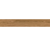 Tundra Miel Rec 200x1200 New Tiles