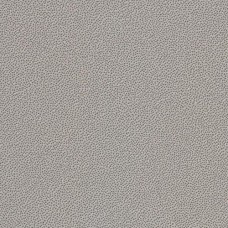 Taurus Granit 76Srm Nordic 298x298 Grey TRM34076