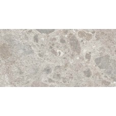 Caracter Mix Gris Str 300x600 M98F Caracter Mix Gris Str 300x600 M98F