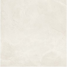Delight Pearl 60*60 Delight Pearl 60*60