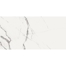 New Ice White Rec.Nplus 600х1200