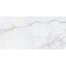 Bellini Salvia Pol 600x1200