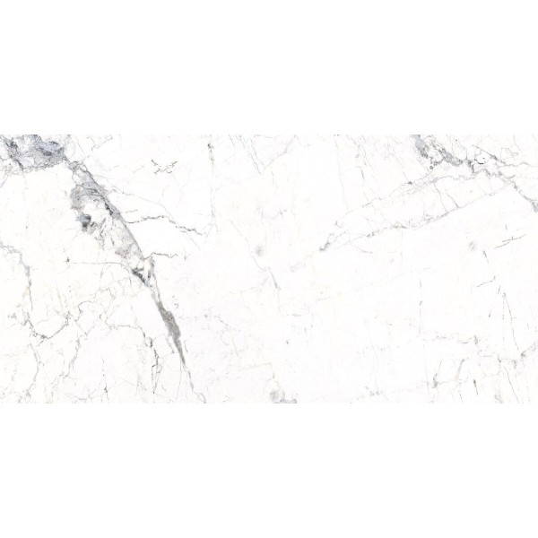 Windsor White Rec 600х1200 Fanal