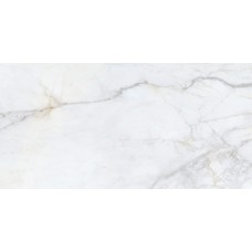 Bellini Salvia Silk Sl 600x1200