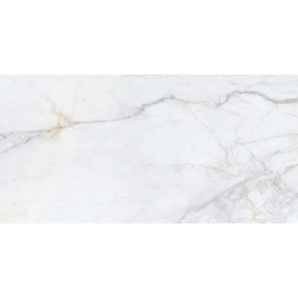 Bellini Salvia Silk Sl 600x1200 Argenta