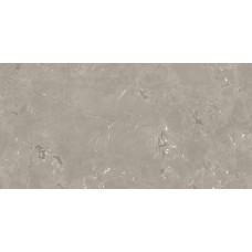 Neeko Taupe Sl 600x1200