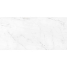 Statuario Silk Sl 60х120