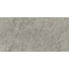 Marvel Meraviglia Silver Majestic Lappato 1200x2400 AJH9