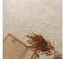 Rave Malt 598x598 R11 Rect Beige DAK66901 Rako