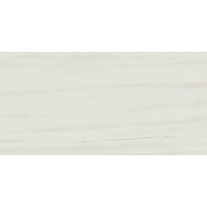Marvel Stone Bianco Dolomite Matte 300x600 D110