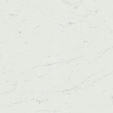 Marvel Stone Carrara Pure Matte 1200x1200 A207 Marvel Stone Carrara Pure Matte 1200x1200 A207