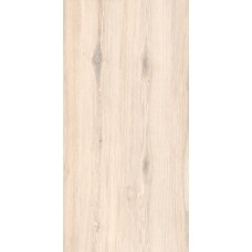 Chateau Natural 600х1200 R Matt