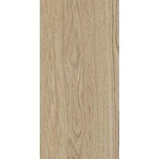 Tilia Brown 600х1200 R Matt